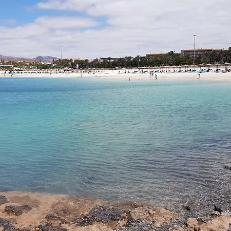 Appartement Bahia Sol 144 *